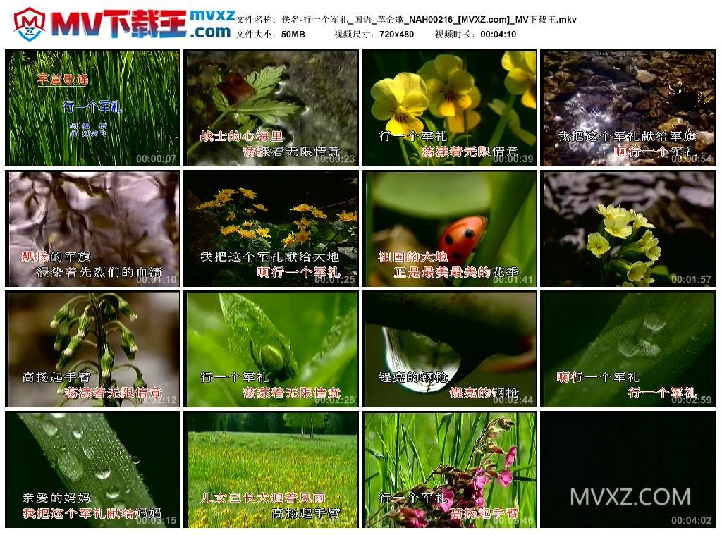 佚名-行一个军礼_国语_革命歌_NAH00216